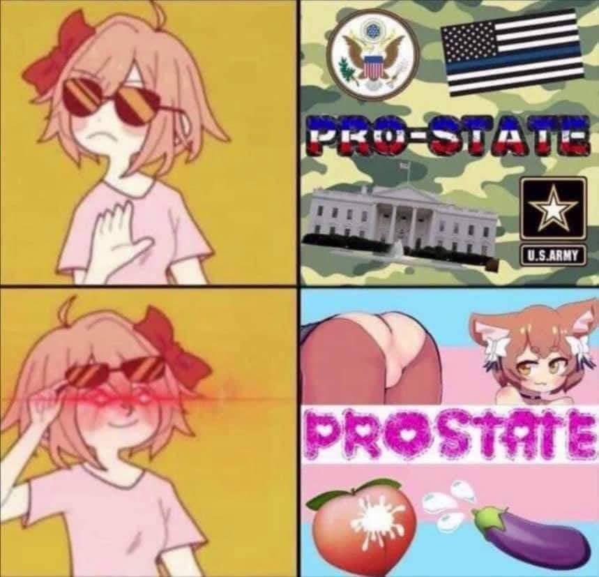 The meme is a split-image joke featuring two contrasting scenarios. The top panel shows a character with a "pro-state" (pro-government) attitude, while the bottom panel depicts the same character with a "pro-state" (pro-government) attitude, but with a humorous twist, implying a ridiculous and absurd situation. The text "PRO-STATE" is written in a bold, playful font in both panels.